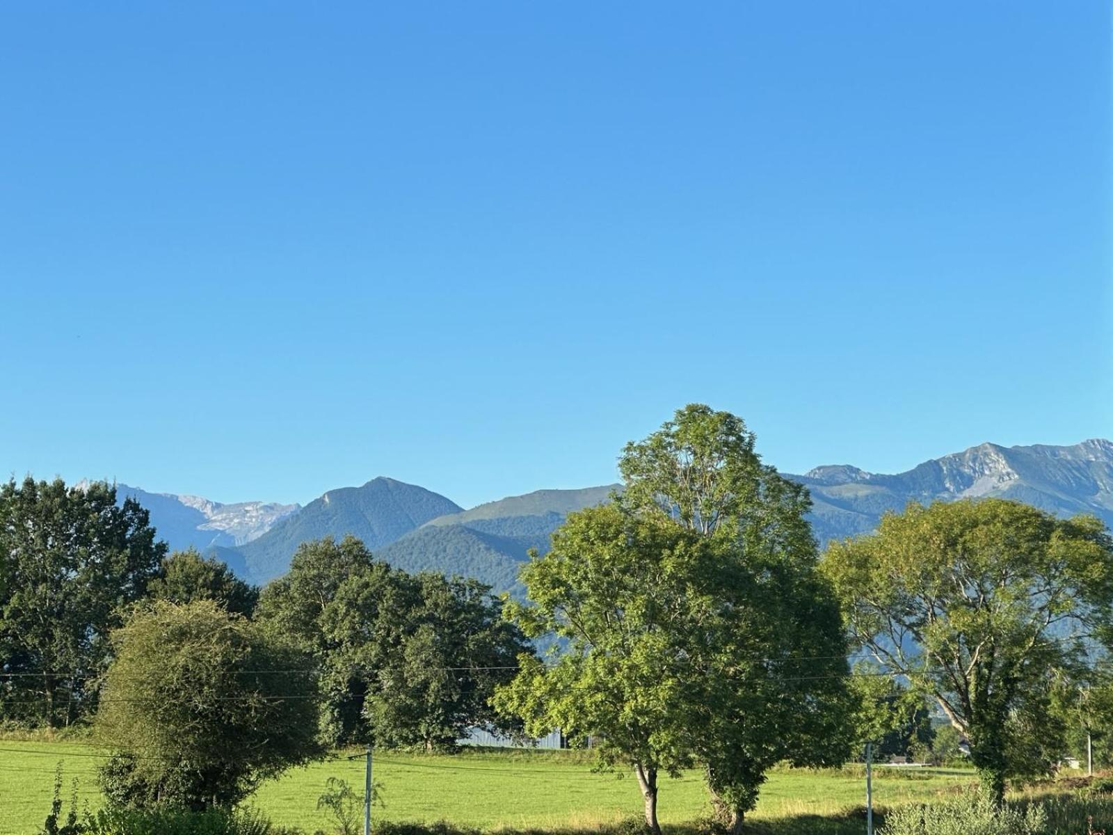 Ferme Peyroutet Bed & Breakfast Asson Exterior photo